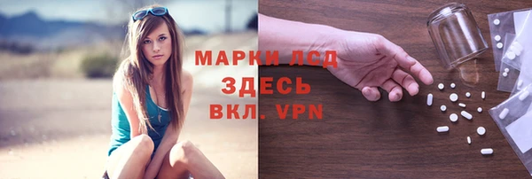 ECSTASY Алзамай