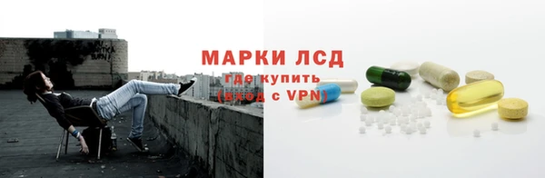 ECSTASY Алзамай