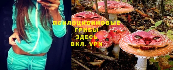 ECSTASY Алзамай
