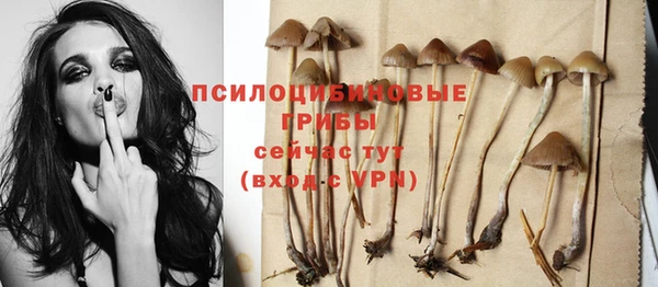 ECSTASY Алзамай