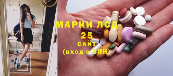 ECSTASY Алзамай