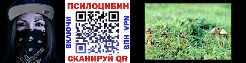 Галлюциногенные грибы мухоморы Мензелинск