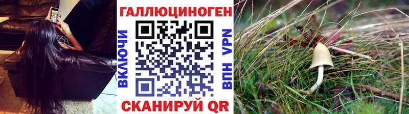 продажа наркотиков  Мензелинск  Галлюциногенные грибы мицелий 